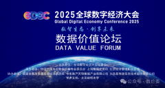 2025全球数字经济大会数据价值论坛-数据人才圆桌