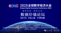 2025全球数字经济大会数据价值论坛在北京圆满举